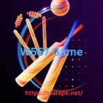 W567 Game